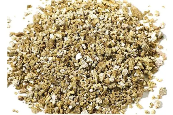 Vermiculite 1