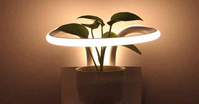 What Is Best Indoor Lighting For Orchids