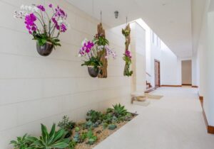 Where To Put Orchids In Your Home