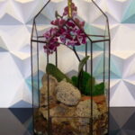 How To Build An Orchid Greenhouse