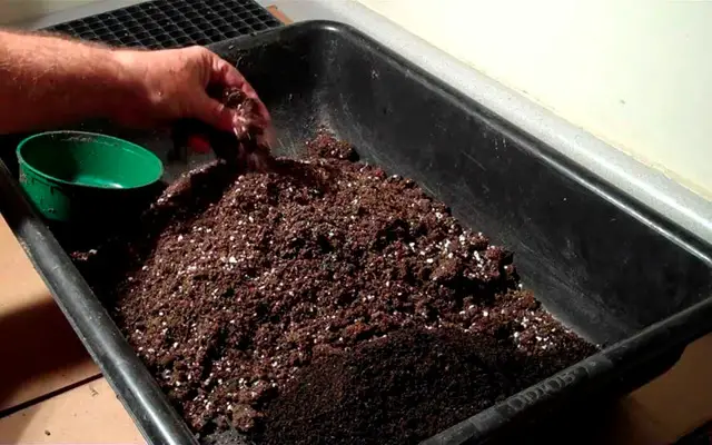 How To Sterilize Garden Soil