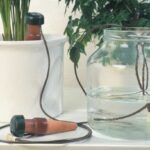 diy self watering system for indoor plants 1