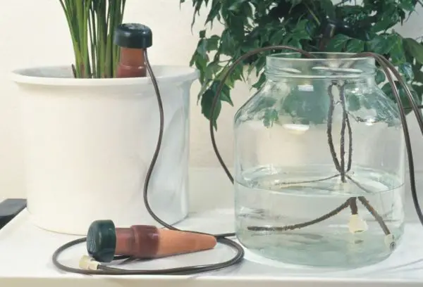 diy self watering system for indoor plants 1