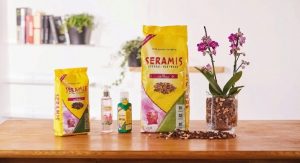 Seramis for orchids: Use, Pros, Cons, Expert Review