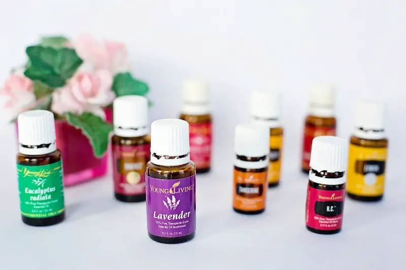 are essential oils safe for plants