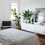 best feng shui plants for bedroom
