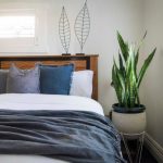 best low maintenance plants for bedroom