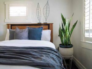 21 Best Low Maintenance Plants For Bedroom (Buyer Guide)