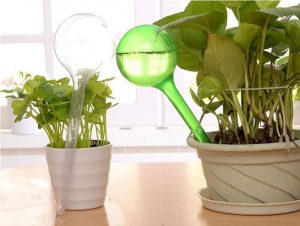 how to prevent indoor plants from leaking water